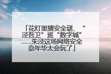 花灯里猜安全谜、“泾吾卫”巡“数字城”……朱泾这场网络安全嘉年华太会玩了